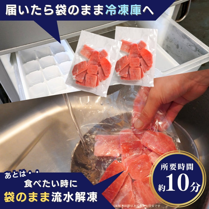 【本州送料無料!最大1,200円OFF】 天然ビンチョウまぐろ切り落とし(刺身用100g×5〜10パック)|海鮮丼・手巻き寿司に最適 冷凍 さかな