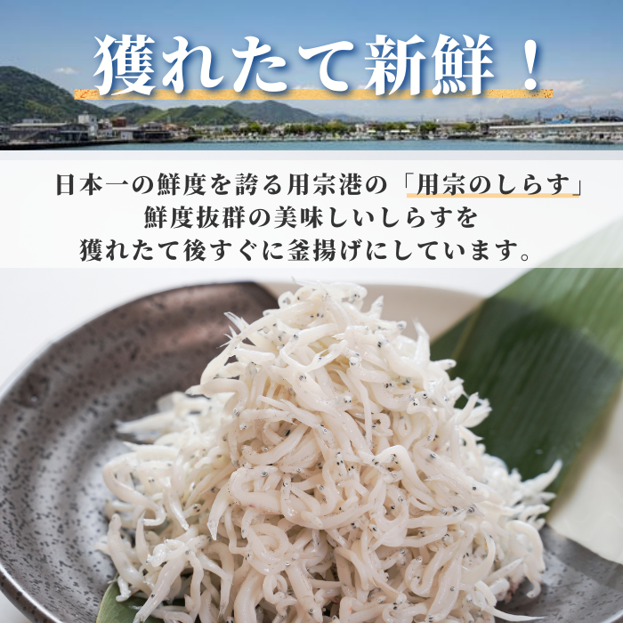 【本州送料無料】駿河湾産 釜揚げしらす 100g〜500g 小分けパック|静岡県用宗港直送・急速冷凍で鮮度抜群|しらす丼・かき揚げにおすすめ 冷凍 お店