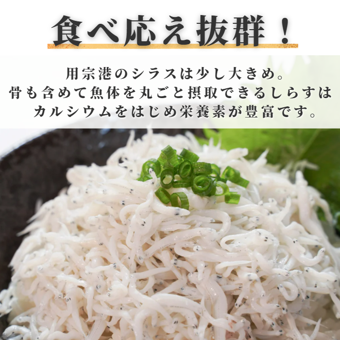【本州送料無料】駿河湾産 釜揚げしらす 100g〜500g 小分けパック|静岡県用宗港直送・急速冷凍で鮮度抜群|しらす丼・かき揚げにおすすめ 冷凍 お店