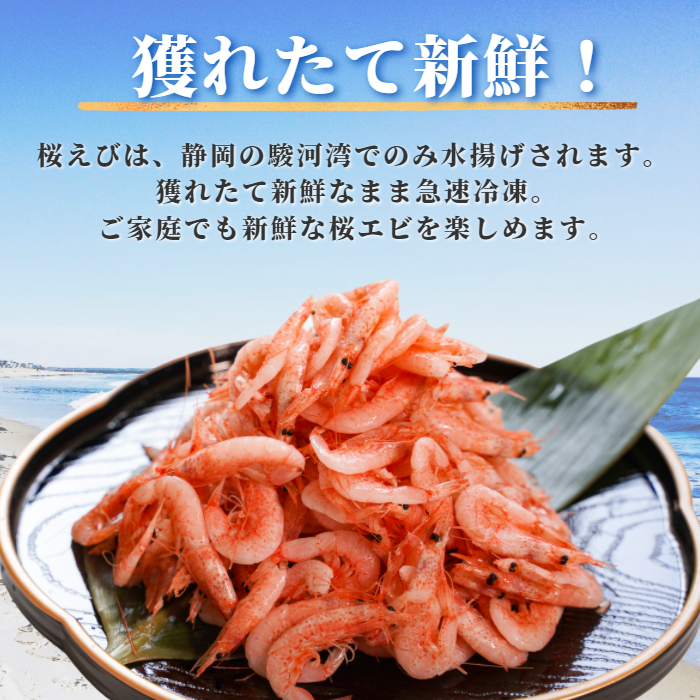 【本州送料無料】釜揚げ桜えび(100g×1〜10パック)|駿河湾・大井川港水揚げ・小分け 冷凍 お店