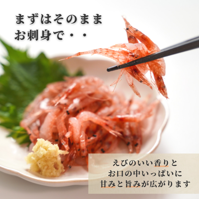 【本州送料無料】駿河湾 大井川港水揚げ 生桜えび 100g×1〜5パック|冷凍小分け お店 冷凍