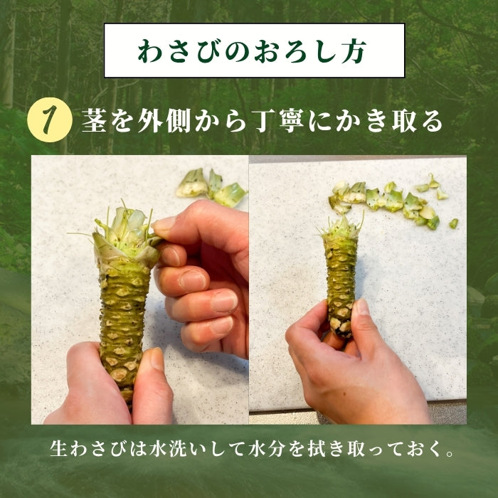 【本州送料無料!最大3,000円OFF】 静岡名産 生わさび(大・小サイズ)|鮮度抜群 冷蔵 お店
