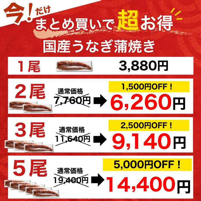 【本州送料無料!最大5,000円OFF】 鹿児島県産うなぎ蒲焼 約200g×1〜5尾|国産特大うなぎ・まとめ買い・贈答用・丑の日ギフトに さかな 冷凍