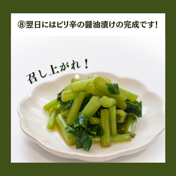 【本州送料無料!最大5,000円OFF】 わさび茎2束〜10束【静岡 有東木産】わさび名産地の香り豊かな山葵|お店用・業務用にも最適 お店 冷蔵