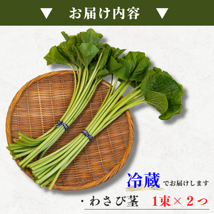 【本州送料無料!最大5,000円OFF】 わさび茎2束〜10束【静岡 有東木産】わさび名産地の香り豊かな山葵|お店用・業務用にも最適 お店 冷蔵