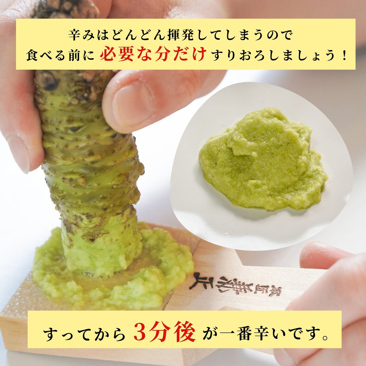 【本州送料無料！最大3,000円OFF】 静岡名産 生わさび（小・中・大サイズ）｜鮮度抜群 冷蔵 お店