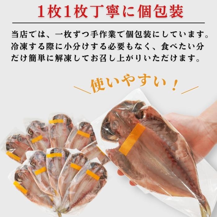 【本州送料無料！最大2,000円OFF】国産 真アジの干物（120g×10〜30枚）｜天日塩仕立て・減塩一夜干し お店 冷凍