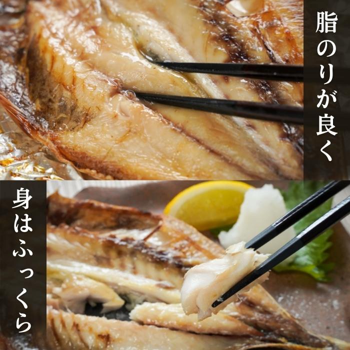 【本州送料無料！最大2,000円OFF】国産 真アジの干物（120g×10〜30枚）｜天日塩仕立て・減塩一夜干し お店 冷凍
