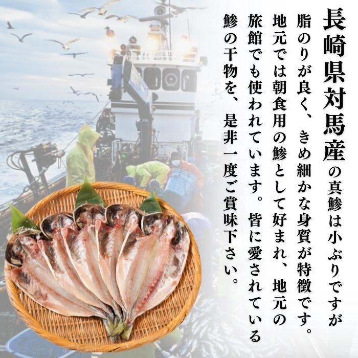 【本州送料無料！最大2,000円OFF】国産 真アジの干物（120g×10〜30枚）｜天日塩仕立て・減塩一夜干し お店 冷凍