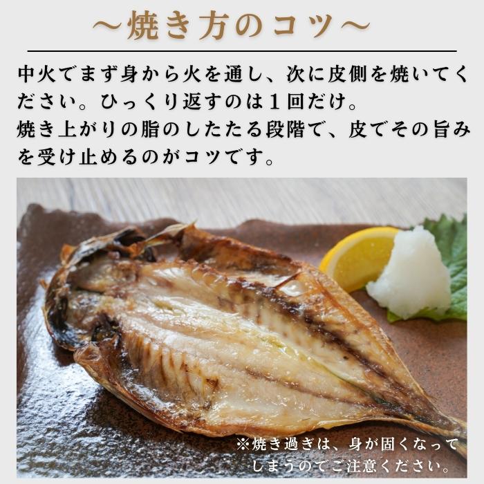 【本州送料無料！最大2,000円OFF】国産 真アジの干物（120g×10〜30枚）｜天日塩仕立て・減塩一夜干し お店 冷凍