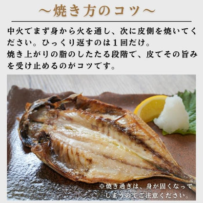 【本州送料無料！最大2,000円OFF】国産 真アジの干物（120g×10〜30枚）｜天日塩仕立て・減塩一夜干し お店 冷凍