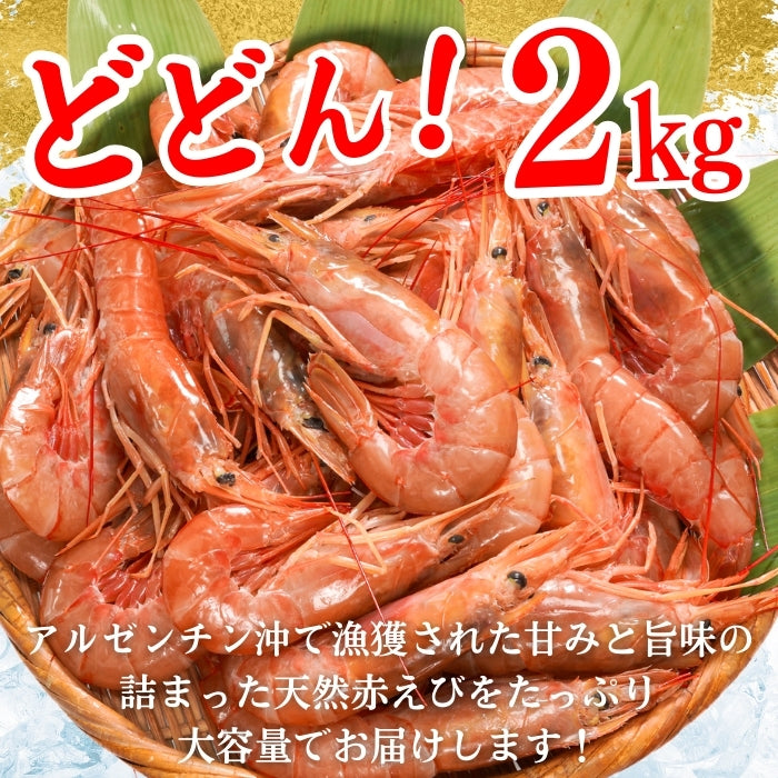 【本州送料無料】生食用 天然赤えび 2kg｜刺身OK！ぷりぷり食感の特大海老 お店 冷凍