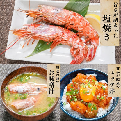 【本州送料無料】生食用 天然赤えび 2kg｜刺身OK！ぷりぷり食感の特大海老 お店 冷凍