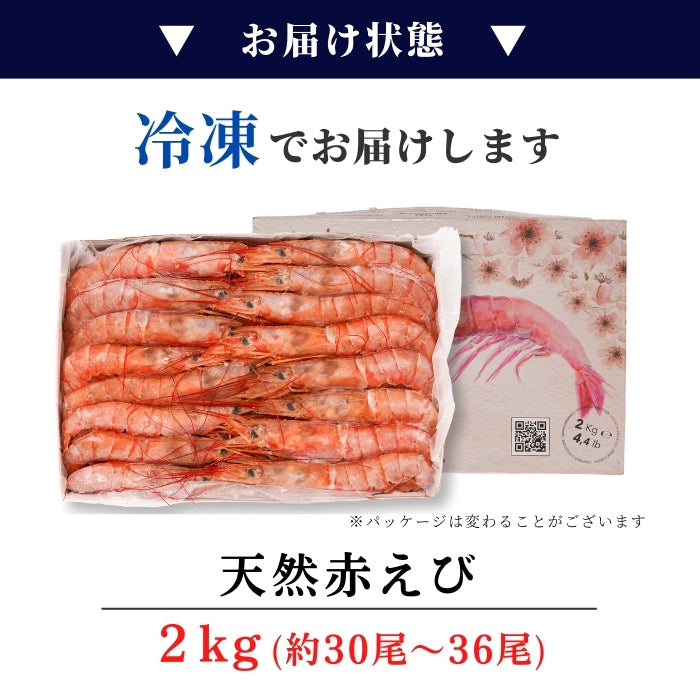 【本州送料無料】生食用 天然赤えび 2kg｜刺身OK！ぷりぷり食感の特大海老 お店 冷凍