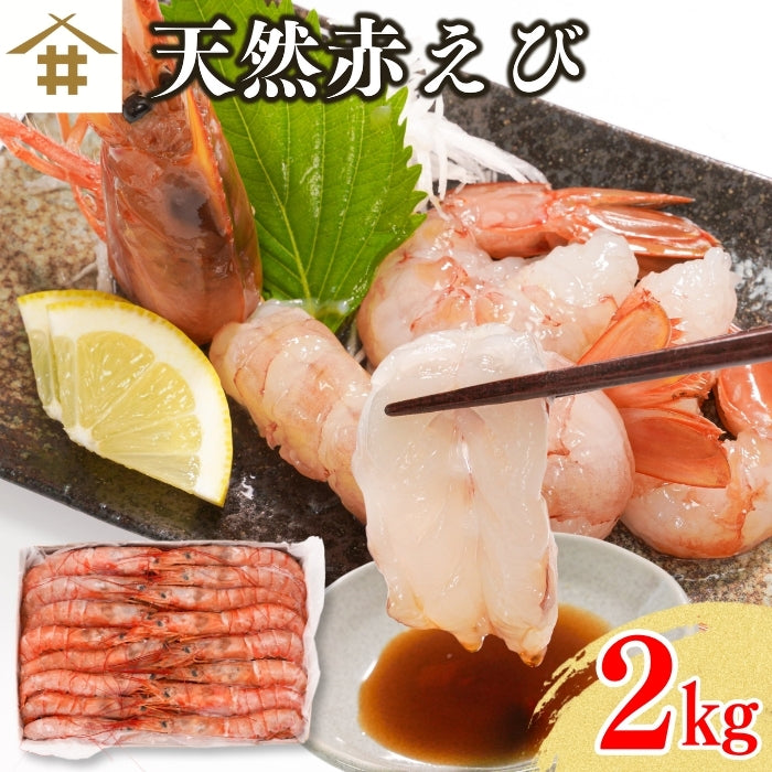 【本州送料無料】生食用 天然赤えび 2kg｜刺身OK！ぷりぷり食感の特大海老 お店 冷凍