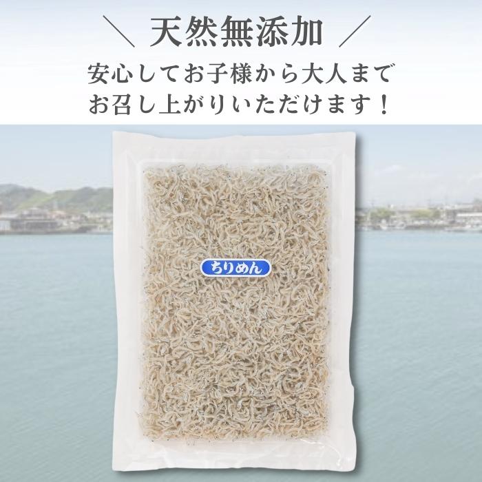 【本州送料無料】駿河湾産 上乾ちりめん（120g×1〜5袋）天然無添加｜極上しらす干し・ご飯のお供・ギフトにも お店 冷蔵