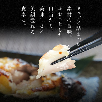 【本州送料無料】漬け魚プレミアムセット 和 (銀だら西京味噌漬 約80g×2・銀だら粕漬け 約80g×2・天然紅鮭 約120g×2)｜3種セット 個包装・冷凍・贈答にどうぞ！さかな 冷凍