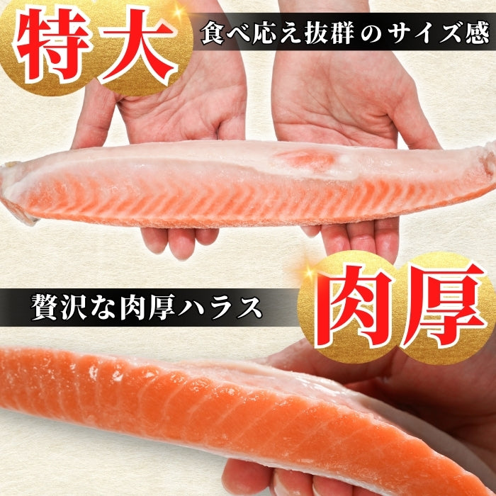 【本州送料無料！最大3,400円OFF】 甘塩銀鮭ハラス（1〜5kg）｜脂のり抜群！お弁当・おにぎり・お茶漬けに最適な絶品ハラス お店 冷凍