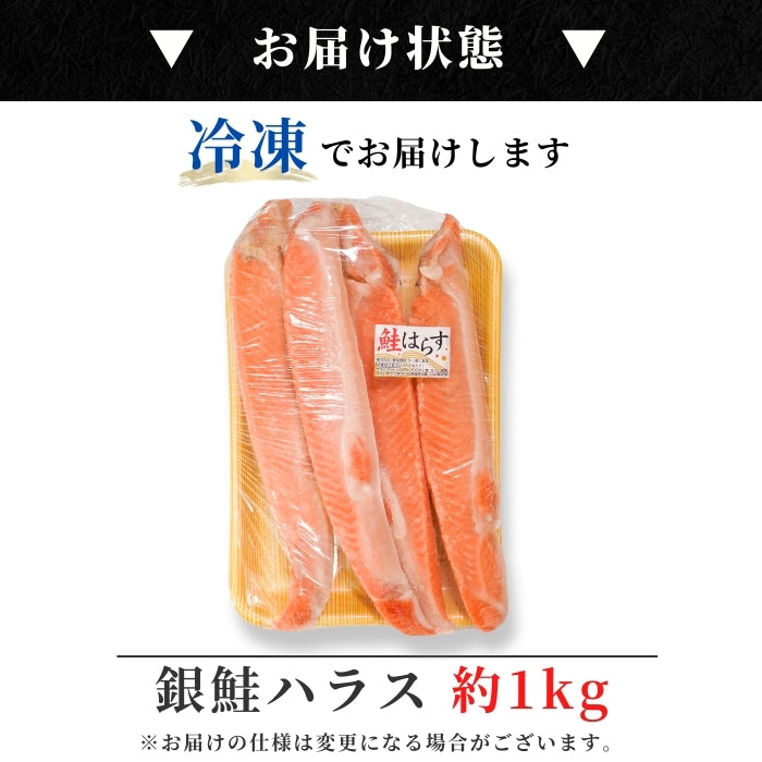 【本州送料無料！最大3,400円OFF】 甘塩銀鮭ハラス（1〜5kg）｜脂のり抜群！お弁当・おにぎり・お茶漬けに最適な絶品ハラス お店 冷凍