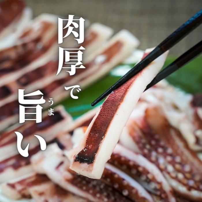 【本州送料無料】やわらか仕上げ！いか一夜干し｜炙り・唐揚げ・炒め物にも◎おつまみの定番【干物・ソフトいか】お店 冷凍