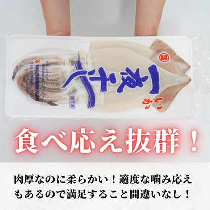【本州送料無料】やわらか仕上げ！いか一夜干し｜炙り・唐揚げ・炒め物にも◎おつまみの定番【干物・ソフトいか】お店 冷凍