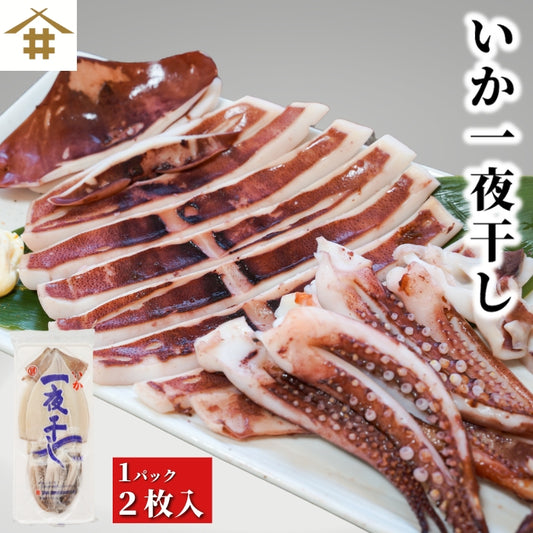 【本州送料無料】やわらか仕上げ！いか一夜干し｜炙り・唐揚げ・炒め物にも◎おつまみの定番【干物・ソフトいか】お店 冷凍