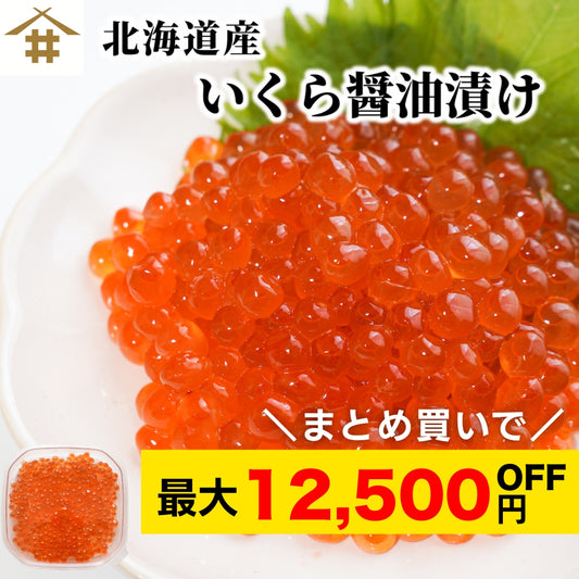 【本州送料無料！最大12,500円OFF】 北海道産 いくら醤油漬け（小分け）1~10パック｜ご飯のお供・海鮮丼・手巻き寿司に最適 お店 冷凍