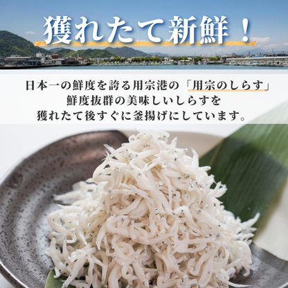 【本州送料無料】駿河湾産 釜揚げしらす 100g〜500g 小分けパック｜静岡県用宗港直送・急速冷凍で鮮度抜群｜しらす丼・かき揚げにおすすめ 冷凍 お店