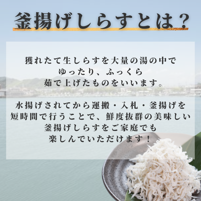 【本州送料無料】駿河湾産 釜揚げしらす 100g〜500g 小分けパック｜静岡県用宗港直送・急速冷凍で鮮度抜群｜しらす丼・かき揚げにおすすめ 冷凍 お店