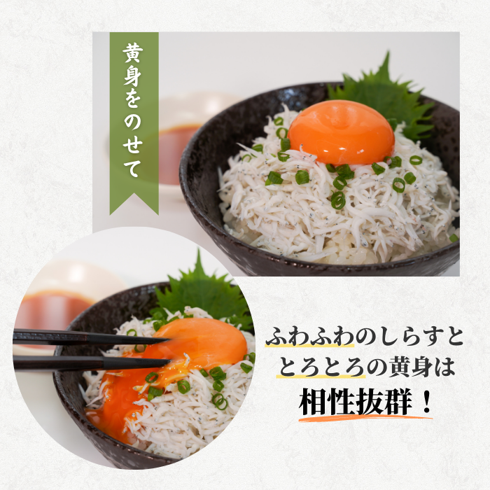 【本州送料無料】駿河湾産 釜揚げしらす 100g〜500g 小分けパック｜静岡県用宗港直送・急速冷凍で鮮度抜群｜しらす丼・かき揚げにおすすめ 冷凍 お店