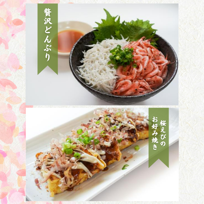 【本州送料無料】釜揚げ桜えび（100g×1〜10パック）｜駿河湾・大井川港水揚げ・小分け 冷凍 お店