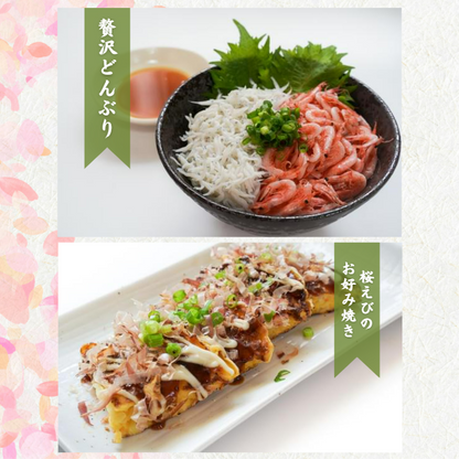【本州送料無料】釜揚げ桜えび（100g×1〜10パック）｜駿河湾・大井川港水揚げ・小分け 冷凍 お店