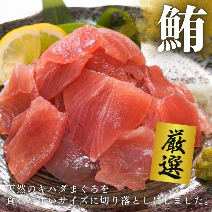 【本州送料無料！最大1,200円OFF】 天然キハダまぐろ切り落とし（刺身用100g×5〜10パック）｜海鮮丼・手巻き寿司に最適 冷凍 さかな