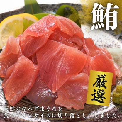【本州送料無料！最大1,200円OFF】 天然キハダまぐろ切り落とし（刺身用100g×5〜10パック）｜海鮮丼・手巻き寿司に最適 冷凍 さかな
