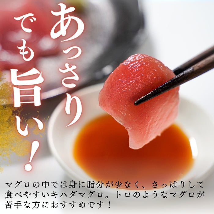 【本州送料無料！最大1,200円OFF】 天然キハダまぐろ切り落とし（刺身用100g×5〜10パック）｜海鮮丼・手巻き寿司に最適 冷凍 さかな