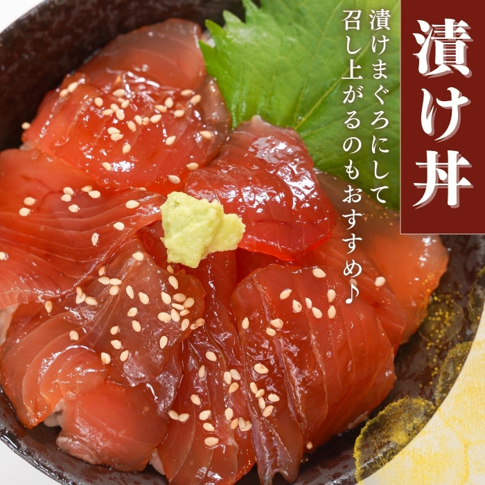 【本州送料無料！最大1,200円OFF】 天然キハダまぐろ切り落とし（刺身用100g×5〜10パック）｜海鮮丼・手巻き寿司に最適 冷凍 さかな
