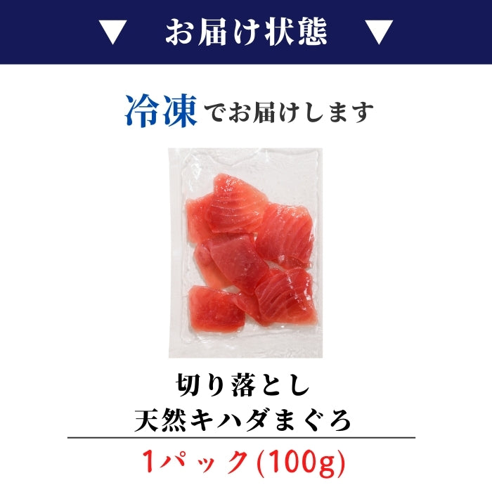 【本州送料無料！最大1,200円OFF】 天然キハダまぐろ切り落とし（刺身用100g×5〜10パック）｜海鮮丼・手巻き寿司に最適 冷凍 さかな