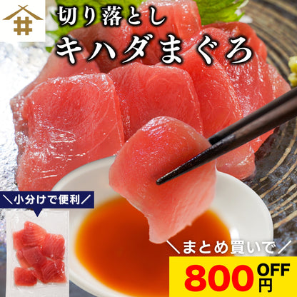 【本州送料無料！最大800円OFF】 天然キハダまぐろ切り落とし（刺身用100g×5〜10パック）｜海鮮丼・手巻き寿司に最適 冷凍 さかな