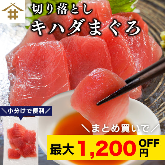 【本州送料無料！最大1,200円OFF】 天然キハダまぐろ切り落とし（刺身用100g×5〜10パック）｜海鮮丼・手巻き寿司に最適 冷凍 さかな
