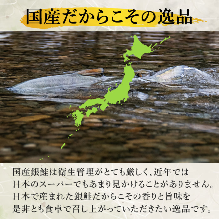 【本州送料無料！最大1,300円OFF】 甘塩 国産銀鮭切り身（5〜30切れ）｜手切り・個包装／ご飯のお供・お弁当・ギフトにも さかな 冷凍
