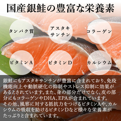 【本州送料無料！最大1,300円OFF】 甘塩 国産銀鮭切り身（5〜30切れ）｜手切り・個包装／ご飯のお供・お弁当・ギフトにも さかな 冷凍