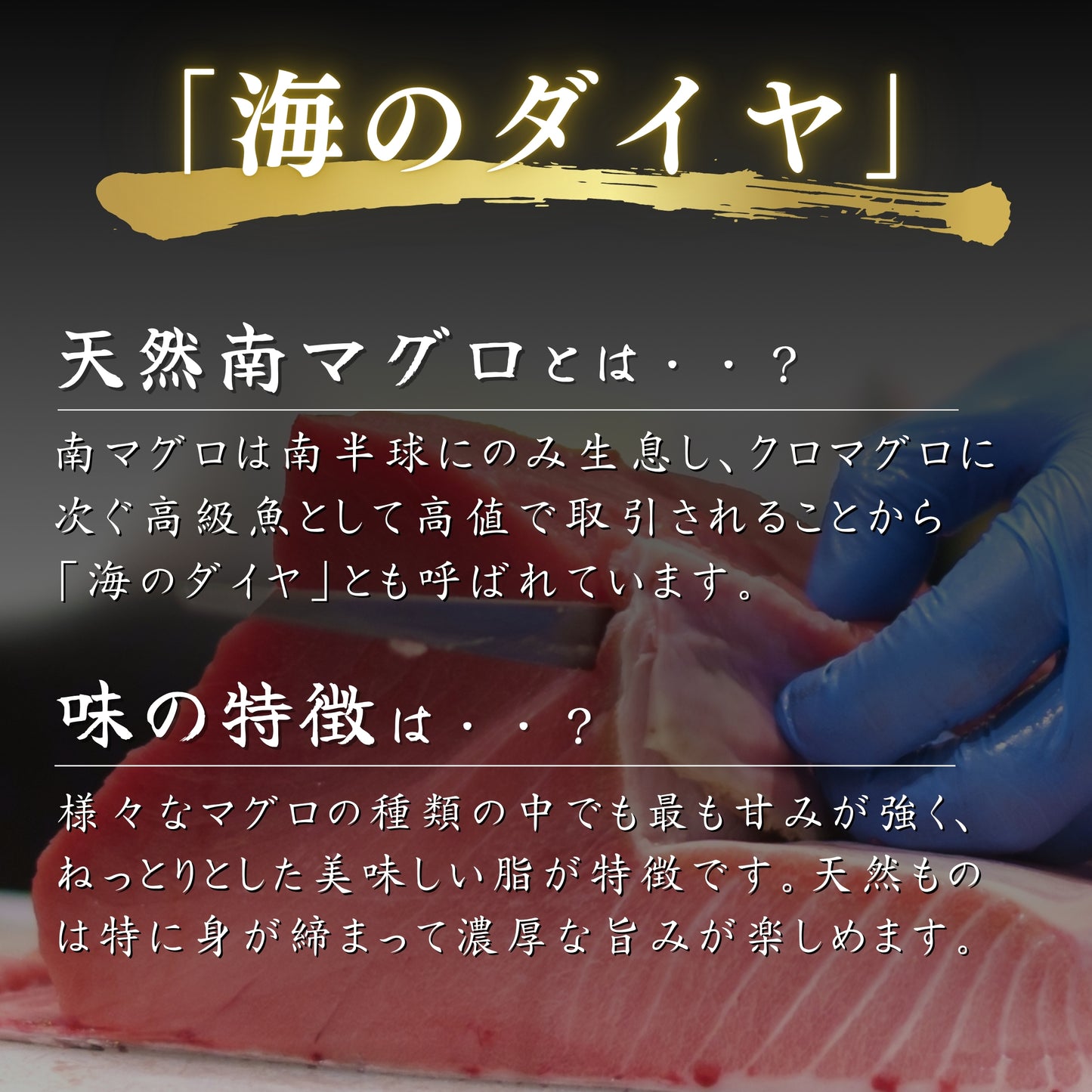 【本州送料無料！最大1,000円OFF】天然南まぐろ使用 高級ネギトロ 100g×5〜10袋 小分けパック｜南マグロの旨さ 丼・手巻き寿司に最適【焼津直送・贈答可】さかな 冷凍