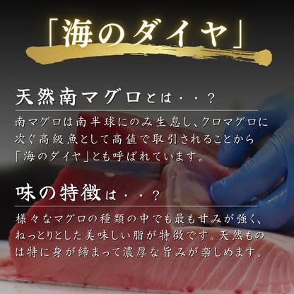 【本州送料無料！最大1,000円OFF】天然南まぐろ使用 高級ネギトロ 100g×5〜10袋 小分けパック｜南マグロの旨さ 丼・手巻き寿司に最適【焼津直送・贈答可】さかな 冷凍