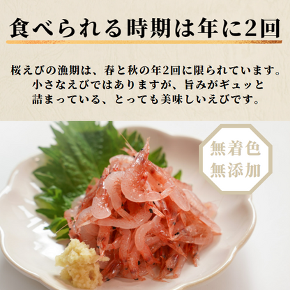 【本州送料無料】駿河湾 大井川港水揚げ 生桜えび 100g×1〜5パック｜冷凍小分け お店 冷凍