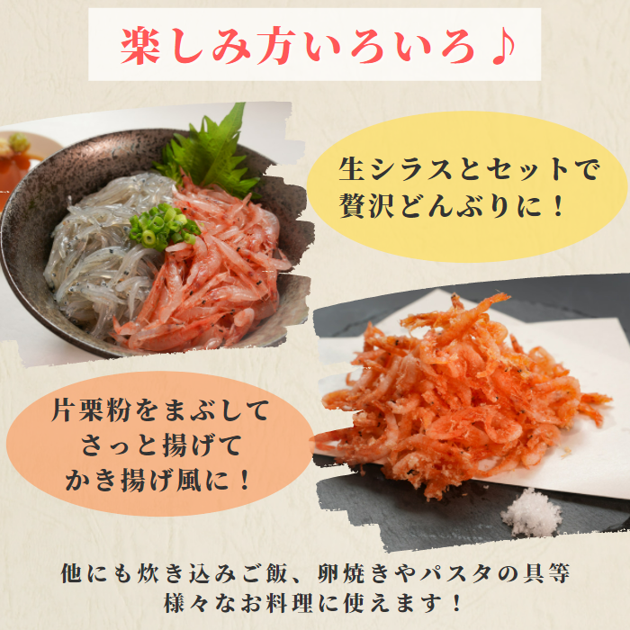 【本州送料無料】駿河湾 大井川港水揚げ 生桜えび 100g×1〜5パック｜冷凍小分け お店 冷凍