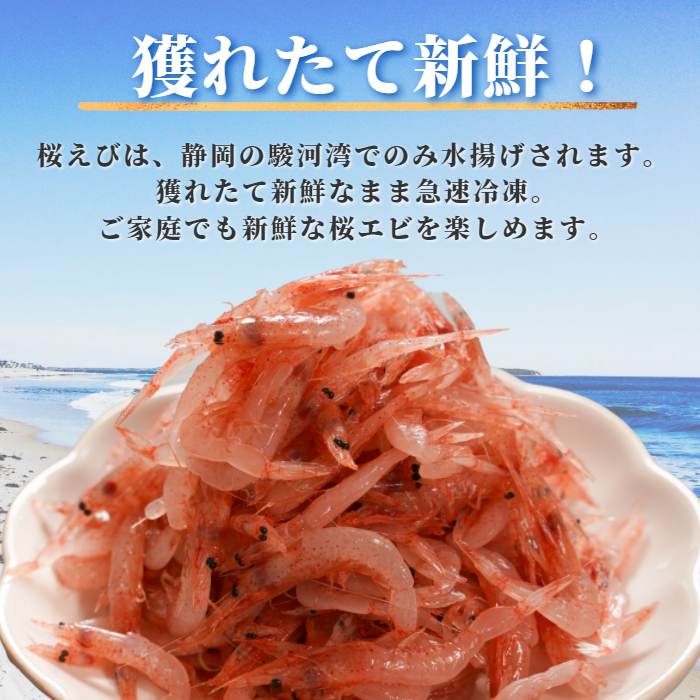 【本州送料無料】駿河湾 大井川港水揚げ 生桜えび 100g×1〜5パック｜冷凍小分け お店 冷凍