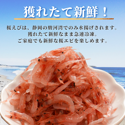 【本州送料無料】駿河湾 大井川港水揚げ 生桜えび 100g×1〜5パック｜冷凍小分け お店 冷凍