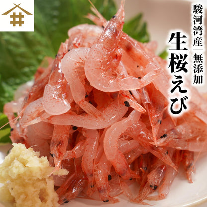 【本州送料無料】駿河湾 大井川港水揚げ 生桜えび 100g×1〜5パック｜冷凍小分け お店 冷凍