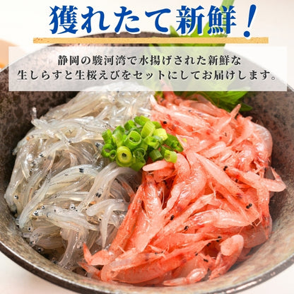 【本州送料無料】福袋お試し海鮮セット 駿河湾産 生しらす＆生桜えび（各100g×2）｜刺身・海鮮丼用 さかな 冷凍