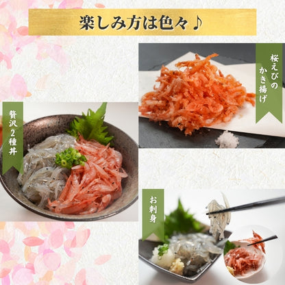 【本州送料無料】福袋お試し海鮮セット 駿河湾産 生しらす＆生桜えび（各100g×2）｜刺身・海鮮丼用 さかな 冷凍